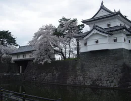 シバタカイロプラクティック院