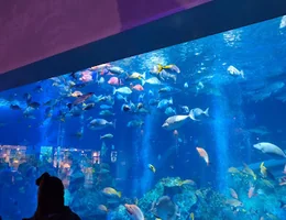 鳥羽水族館