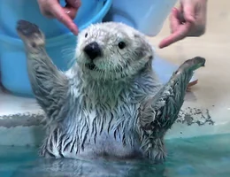 鳥羽水族館