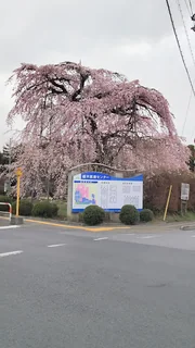 Photo 国立病院機構 栃木医療センター