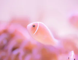 鳥羽水族館