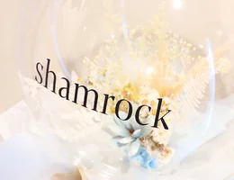 フェイシャルサロンPLUS.shamrock